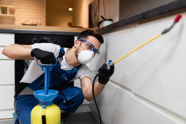 Best Mosquito Control Services  in Waterloo, IL
