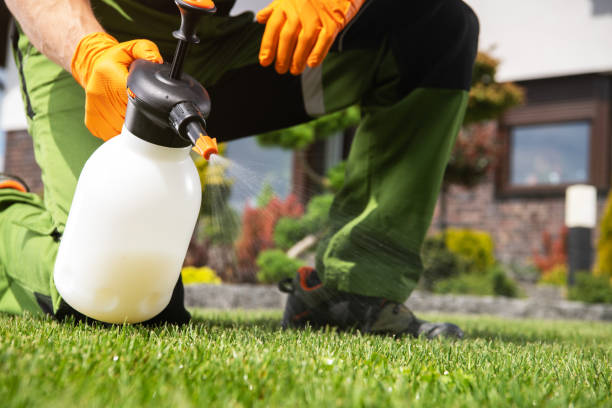 Best Ant Control Services  in Waterloo, IL