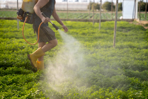 Best Pest Inspection Near Me  in Waterloo, IL