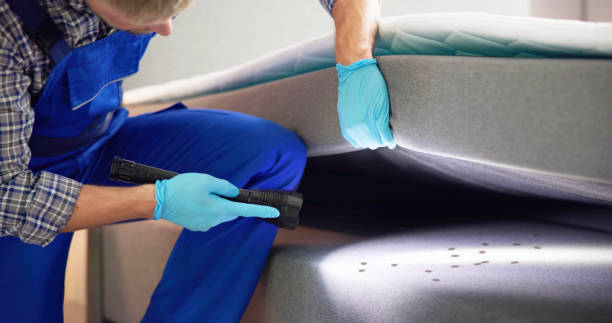 Best Pest Inspection Near Me  in Waterloo, IL