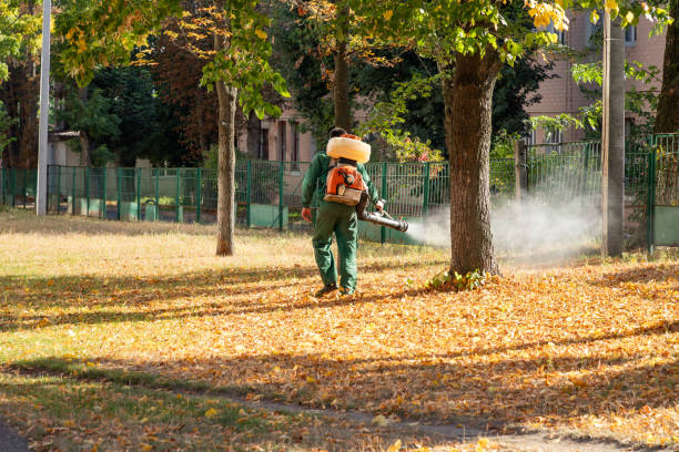 Best Commercial Pest Control Services  in Waterloo, IL