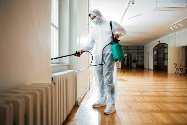 Best Wasp Removal Services  in Waterloo, IL