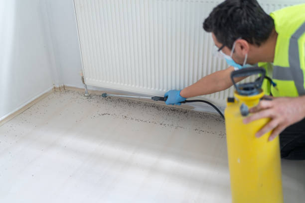 Best Emergency Pest Control  in Waterloo, IL